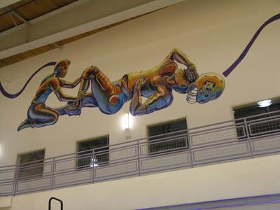 Human Performance Suite Wayne Healy