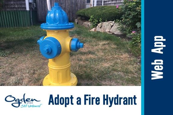 Adopt a Fire Hydrant