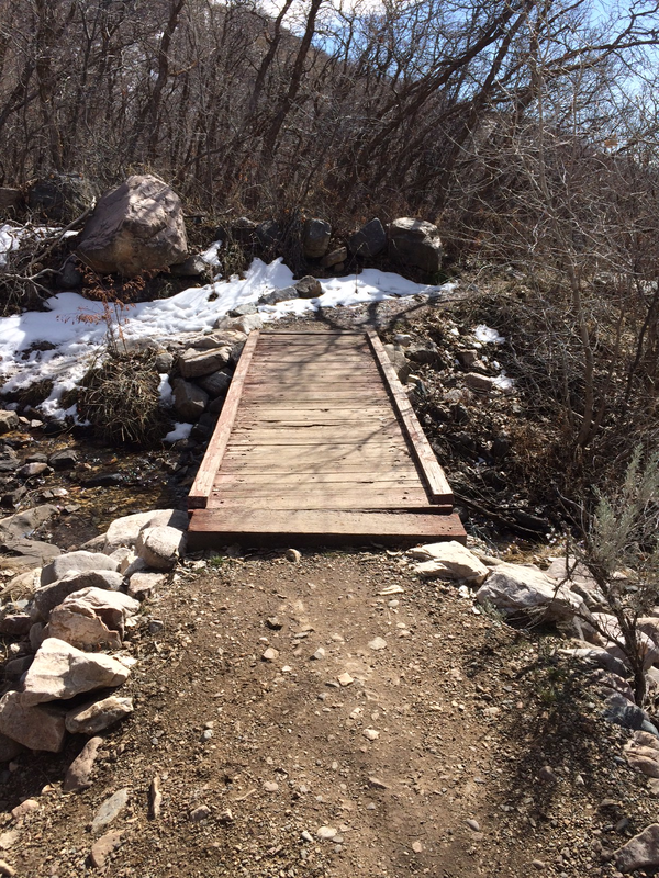 Foothill Bike Counter
