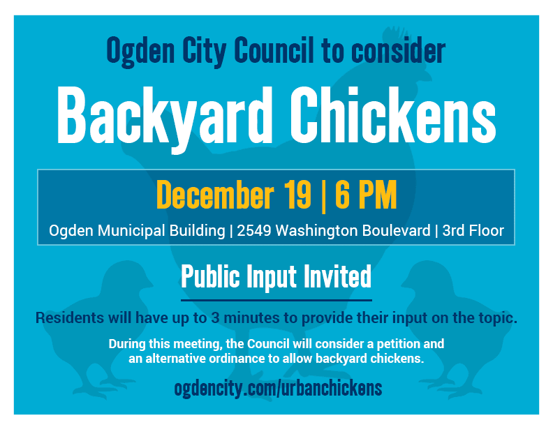 Backyard Chickens to be considered on December 19